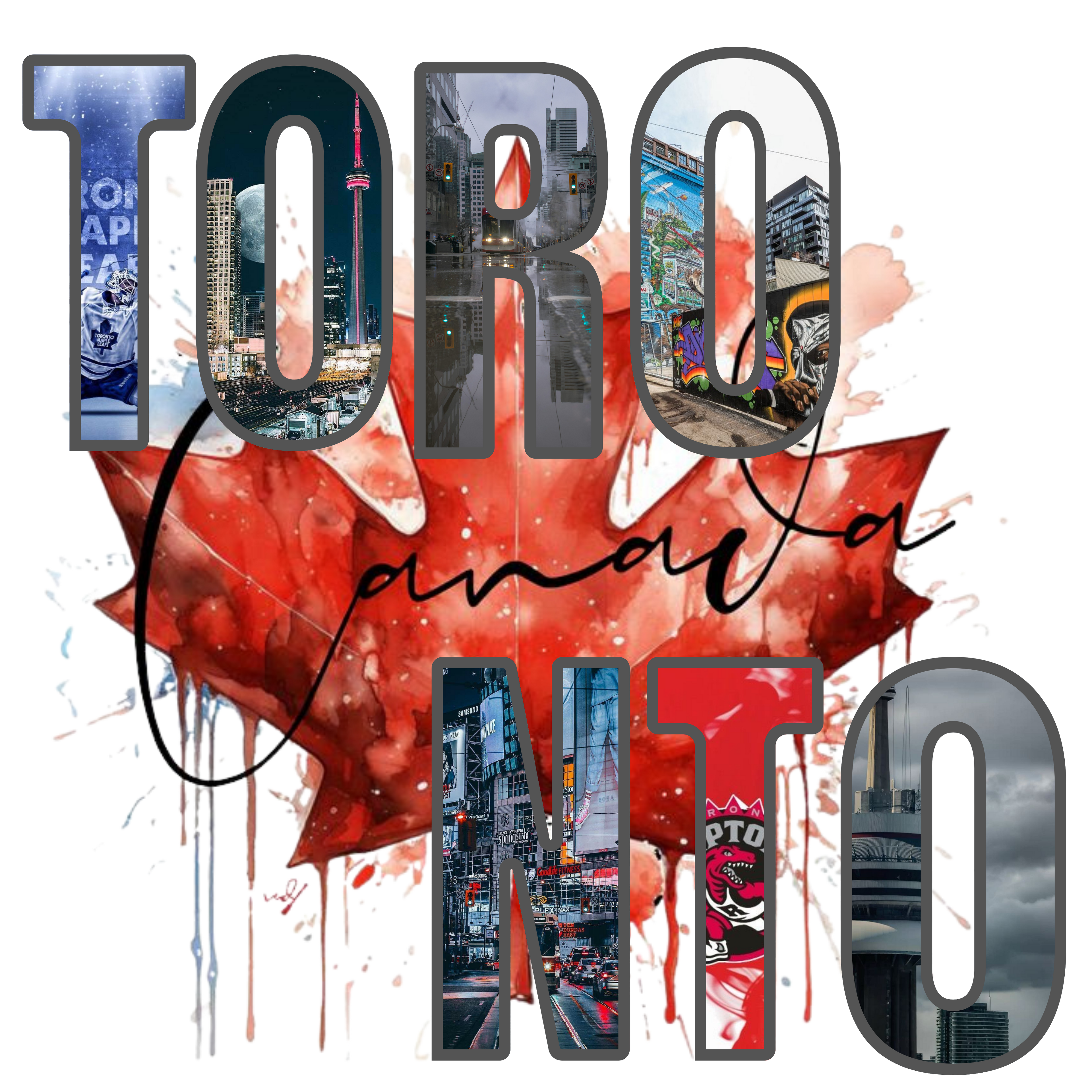 HLA LE- Hidden Life Culture: Toronto